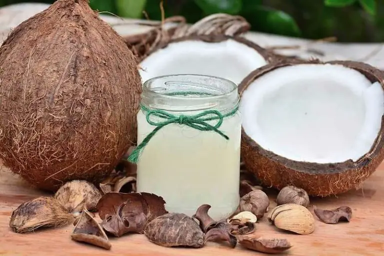 How To Open a Coconut Without Any Tools at Home? ( 6 unique method)