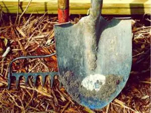 home tools used for removing weeds