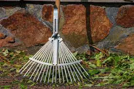 what home tools used for removing weeds around the plants? 2