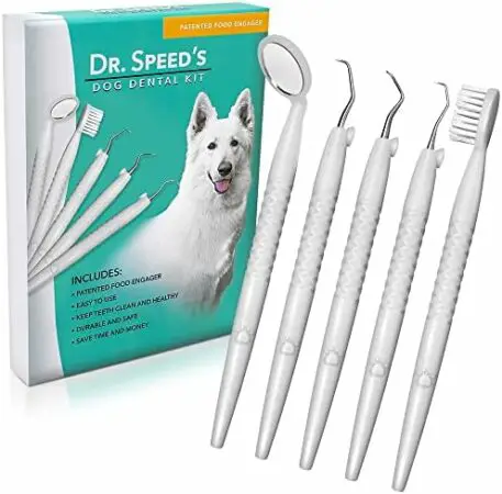 How To Use Dog Dental Cleaning Tools At Home